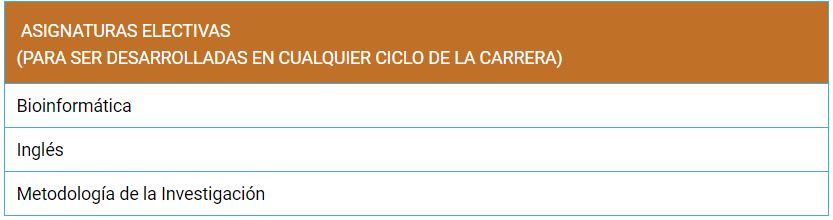 13electivas