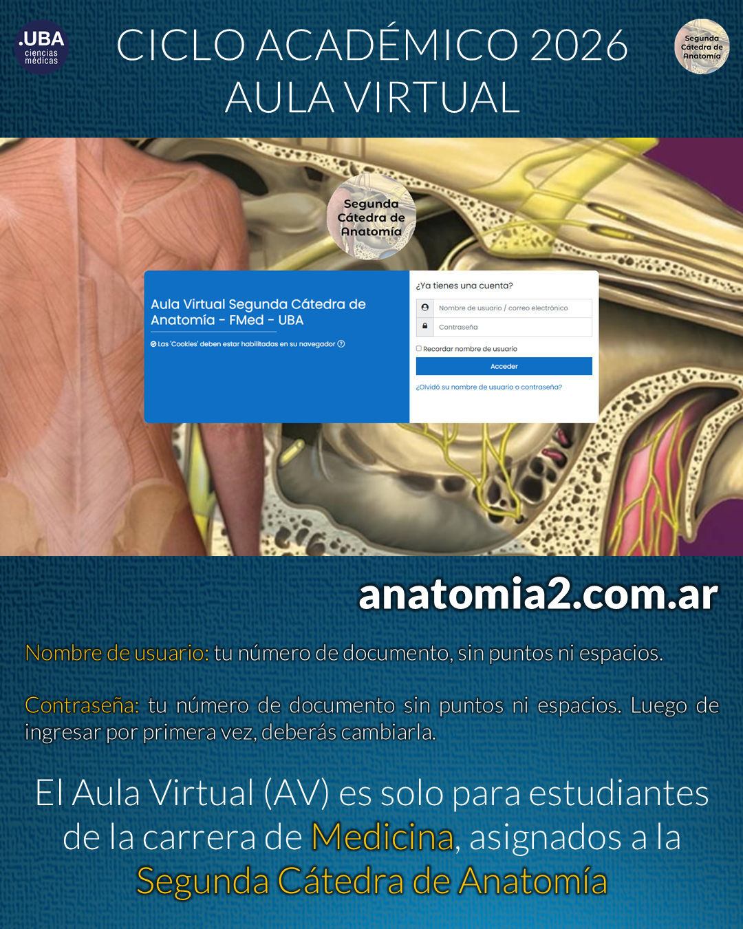 2026-AV