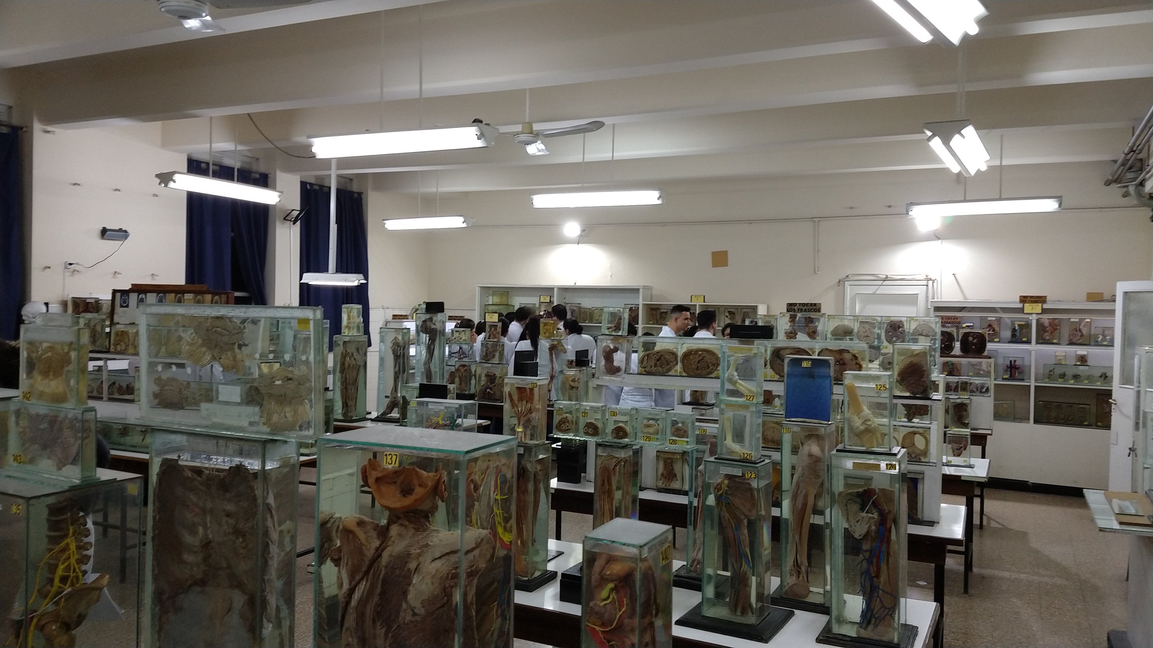 2022-museo